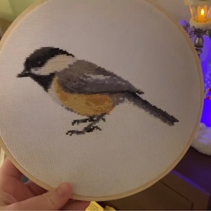 Colleen added a photo of their purchase