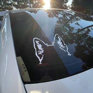 Sophia added a photo of their purchase