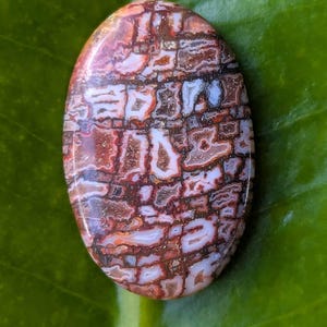 Amber hat ein Foto des gekauften Artikels hinzugefügt