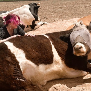 Samantha added a photo of their purchase