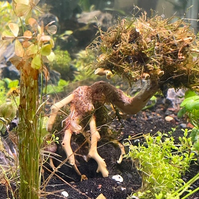 Natural Aquarium Hardscape Aquascape Rocks Cave Fish Tank Decorations ... - Oceanscape Aquarium Decoration For Realistic Marine Biotopes