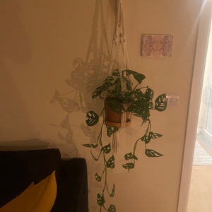 Courtney added a photo of their purchase