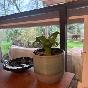 shane added a photo of their purchase