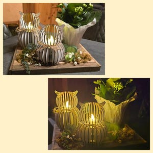 Tanja added a photo of their purchase