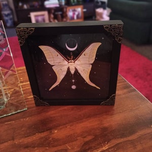 Maree added a photo of their purchase