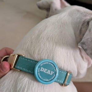 Traci added a photo of their purchase