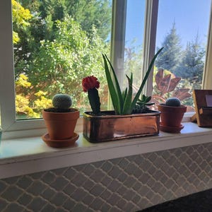 Ali added a photo of their purchase