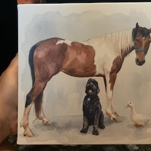 Allie ha añadido una foto de su compra
