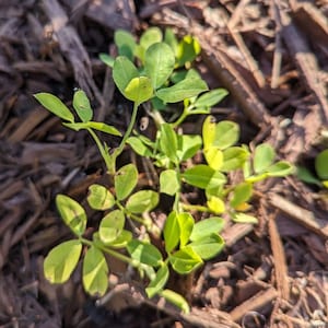 John ha añadido una foto de su compra