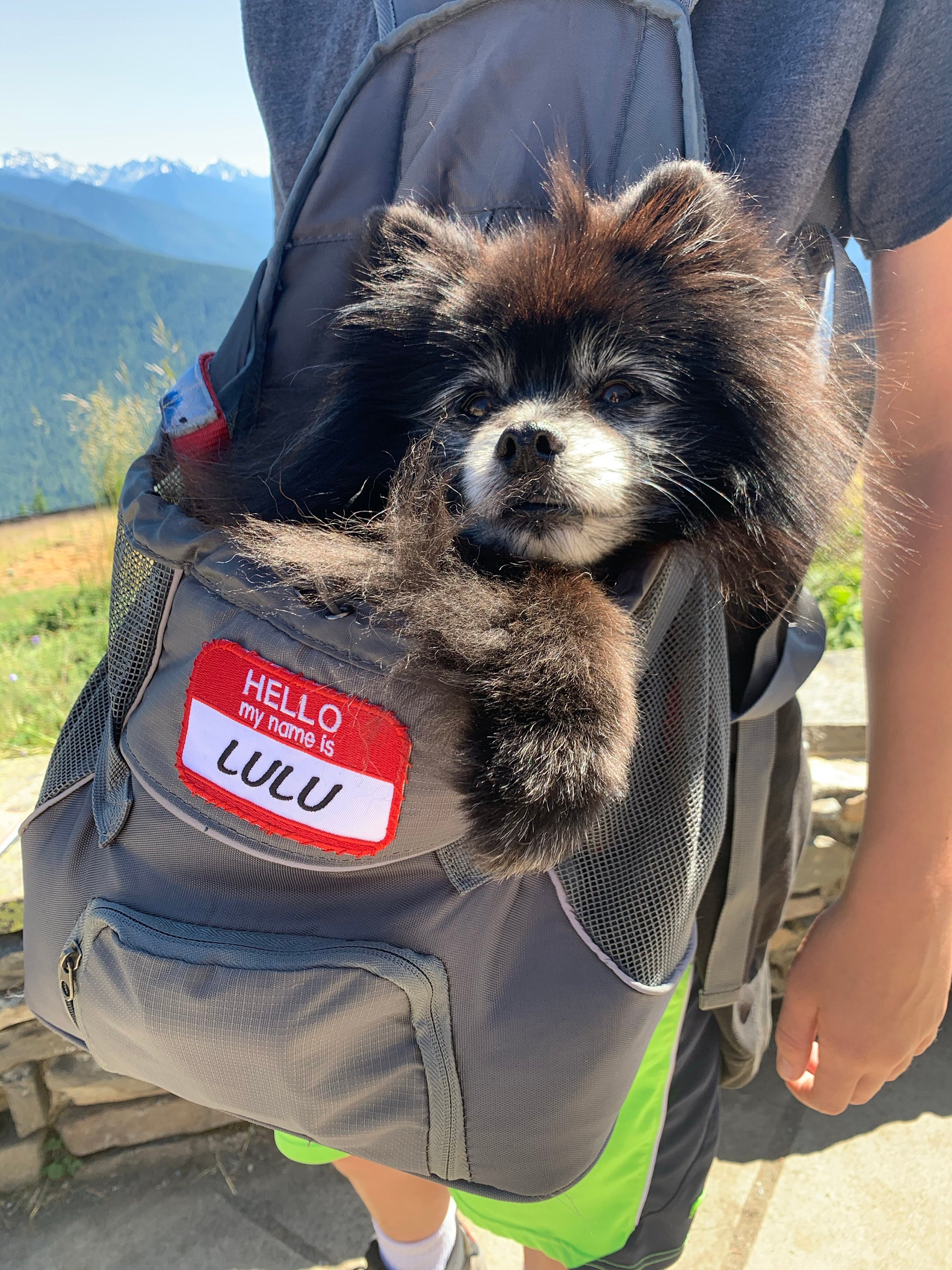 Hello My Name Is Custom Patch Name Patch  Personalized Name Patch Name Tag with Hook and Loop Fastener Available