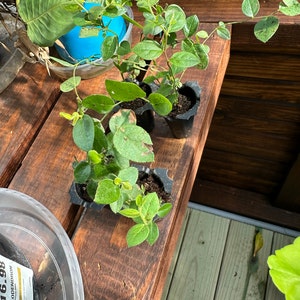Christopher added a photo of their purchase