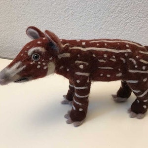 Alpentapir added a photo of their purchase