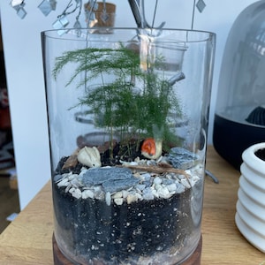 James added a photo of their purchase