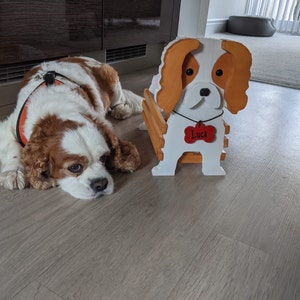Etsy-koper heeft een foto van de aankoop toegevoegd