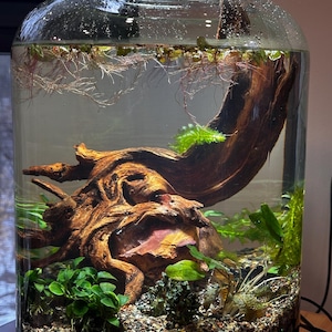 Katrina added a photo of their purchase