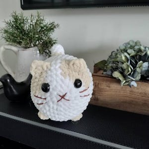 Jan added a photo of their purchase