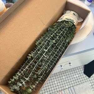 Melinda added a photo of their purchase