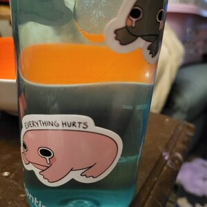 Liz ha añadido una foto de su compra