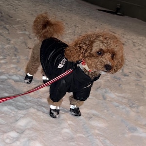 Ana added a photo of their purchase