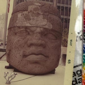 Conrad added a photo of their purchase