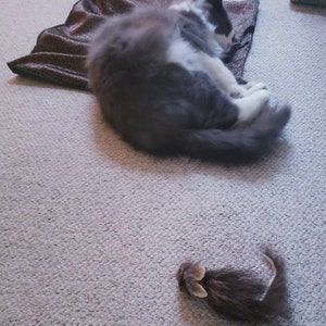 Morgann added a photo of their purchase