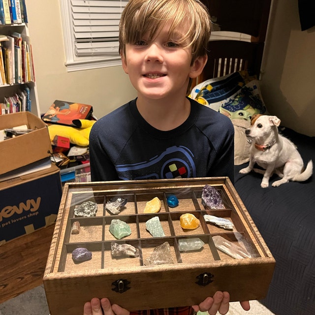 Glass Top Rock Collection Box - Coin Collection - Sea Shell