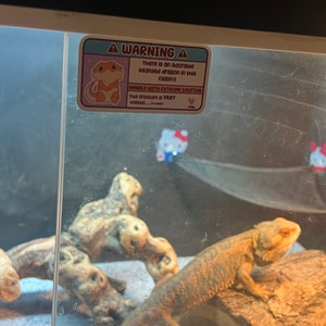 Clover added a photo of their purchase