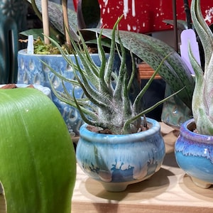 Christine added a photo of their purchase