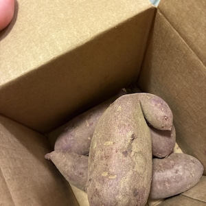 Brittany added a photo of their purchase