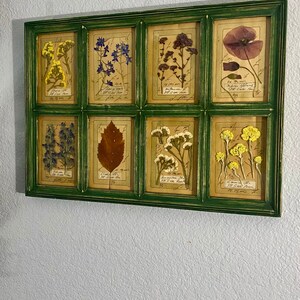 Marco Arreola added a photo of their purchase