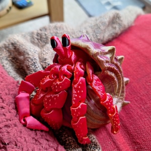 Songbird ha añadido una foto de su compra