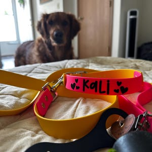 Danielle added a photo of their purchase