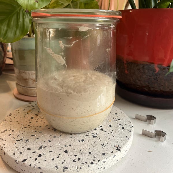 Josh Perna Organic Authentic Italian LIQUID Sourdough Starter- 100+ Years Old ...