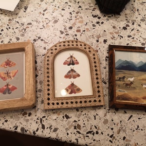 Three Moths Nature Art Print, Wall Art, Bedroom Decor, Moth Art Print ...