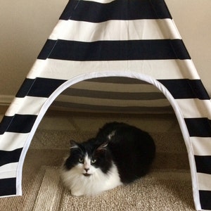 Shauna added a photo of their purchase