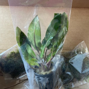 R added a photo of their purchase