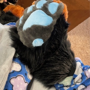 Sol added a photo of their purchase