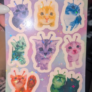 Grace added a photo of their purchase