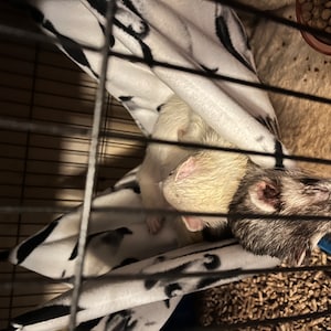 Melissa added a photo of their purchase