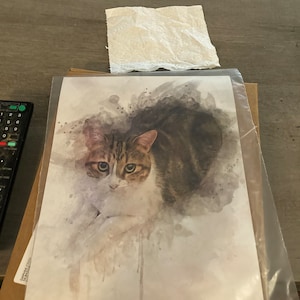 Amy added a photo of their purchase