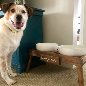 20 Elevated Dog Bowls That Are Actually Really Cute