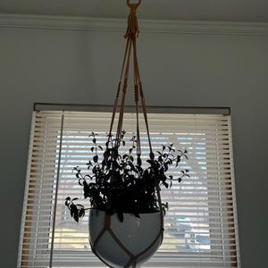 Sally added a photo of their purchase