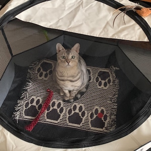 Luciana added a photo of their purchase