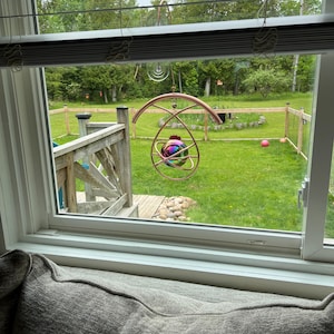 Cindy added a photo of their purchase