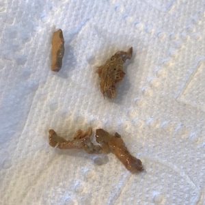 Katherine added a photo of their purchase