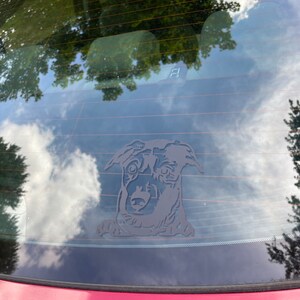 Pet Welcome Sign/ Pet Door Sign/ Dog Door Sign/pet Portrait Wreath/ Dog ...