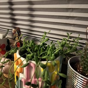 Patricia heeft een foto van de aankoop toegevoegd