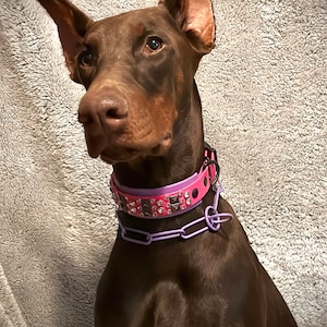 Laila added a photo of their purchase