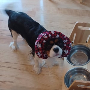Debra added a photo of their purchase