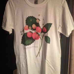 Lisa a ajouté une photo de son achat